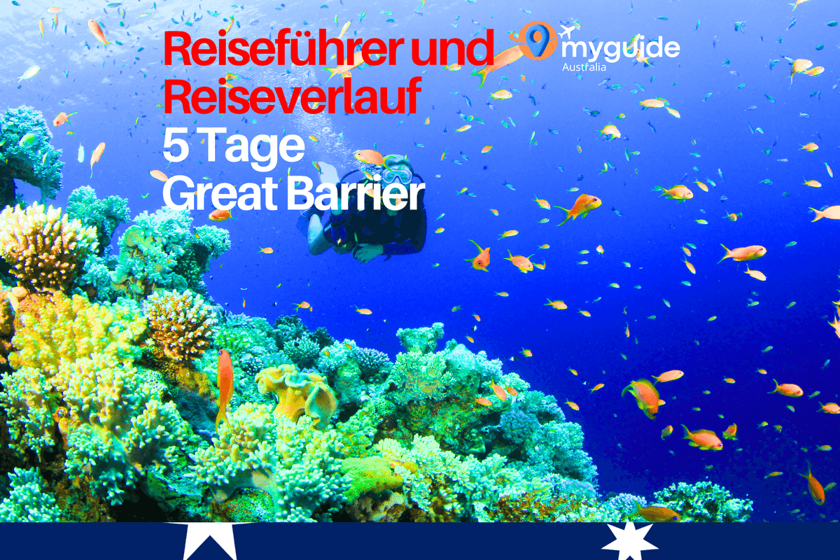 5 Tage Reiseführer Great Barrier