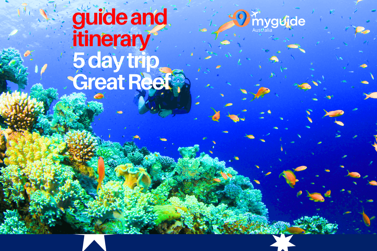 5 Days Guide Great Barrier