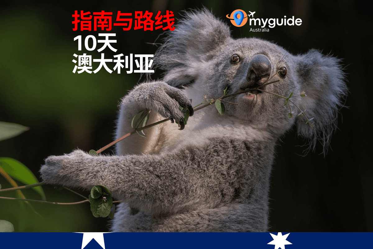 10天指南澳大利亚
