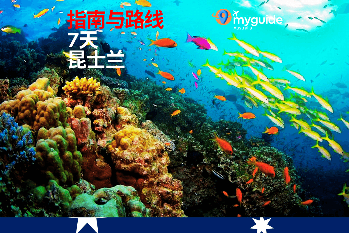 7天指南昆士兰