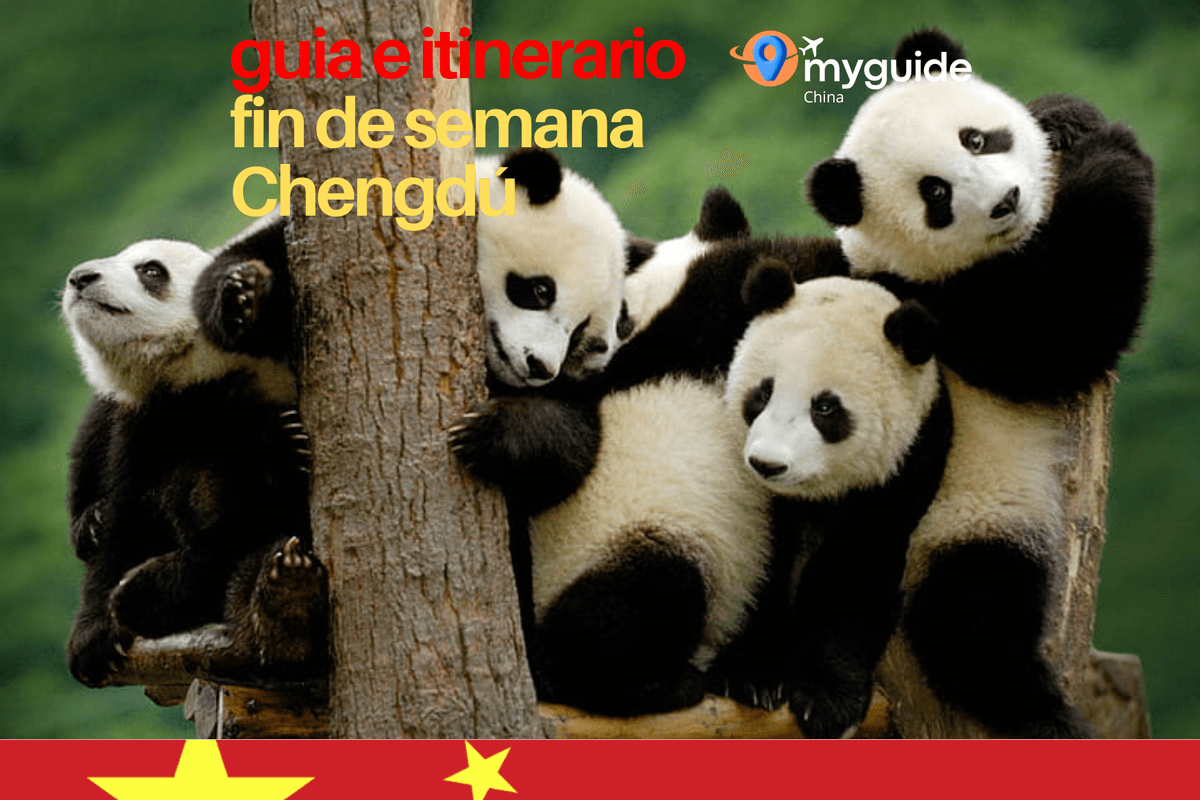 Fin de semana Chengdú