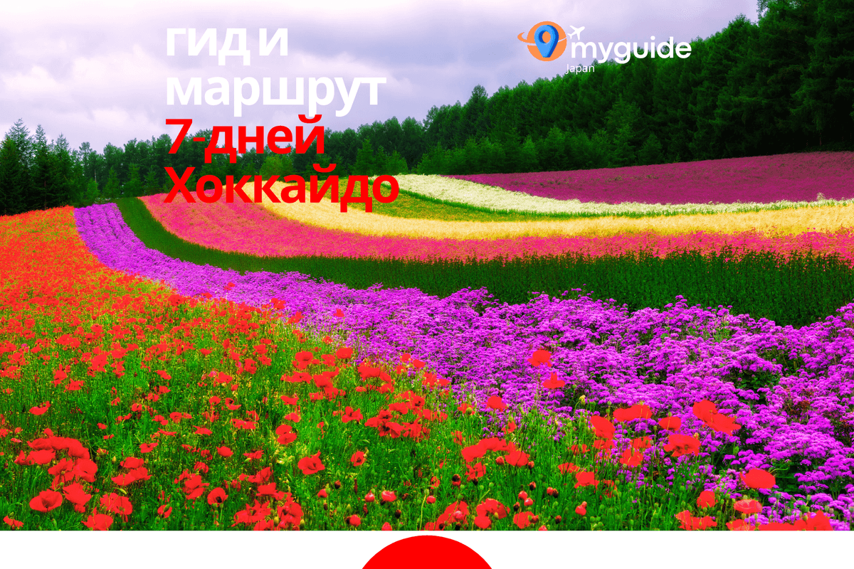 7-дневный путеводитель Хоккайдо