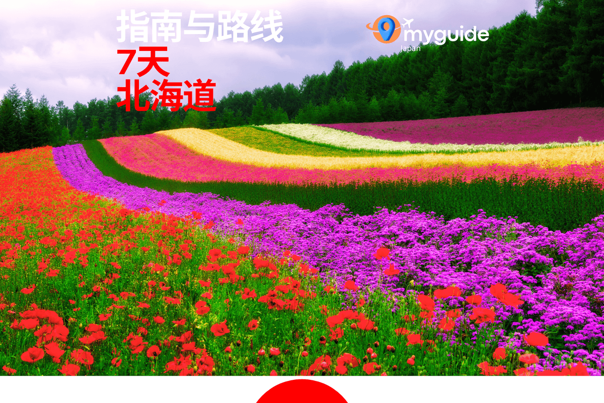 7天指南北海道