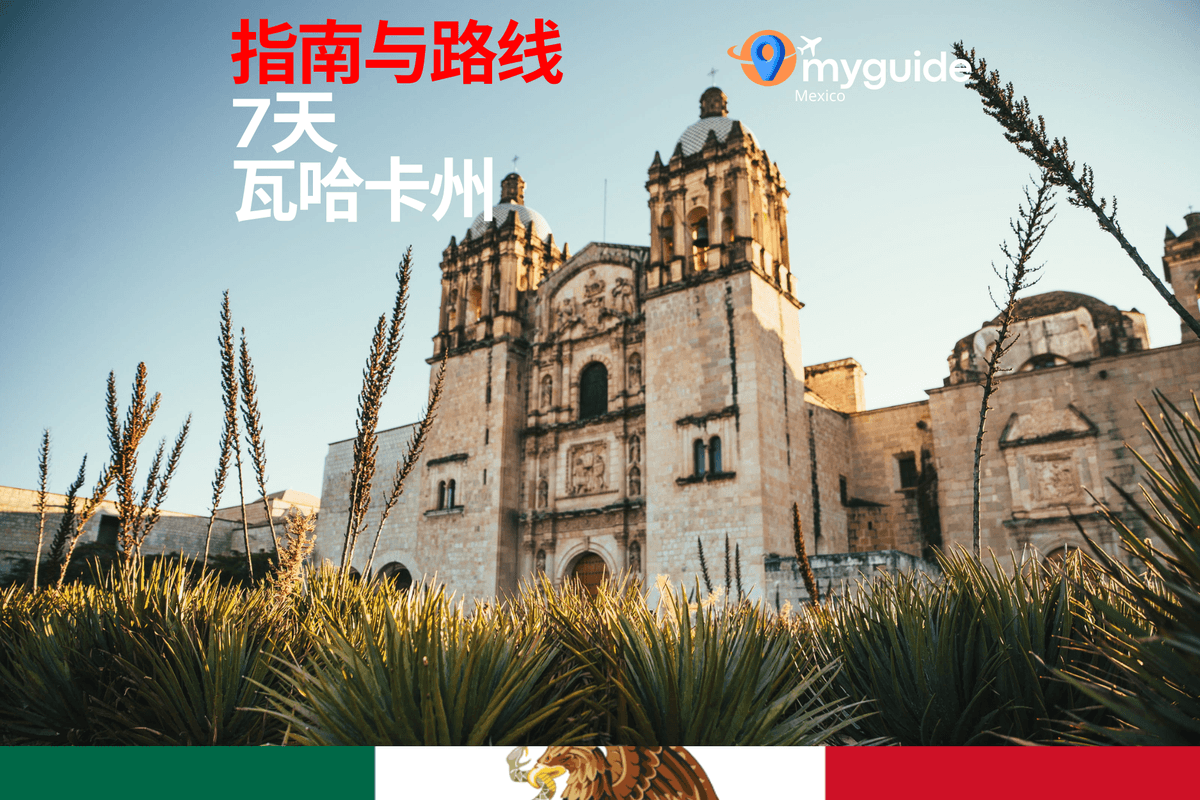 7天指南瓦哈卡