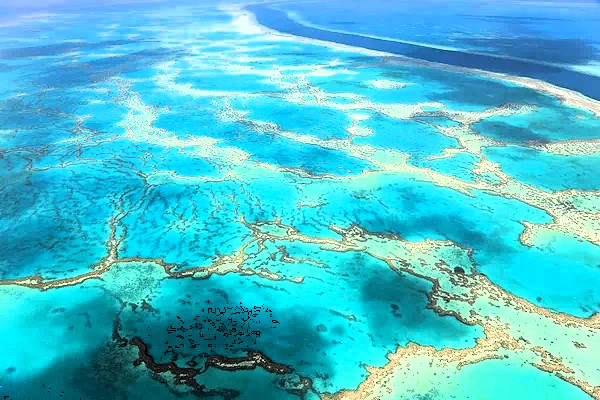 Aerial view of the Great Barrier Reef