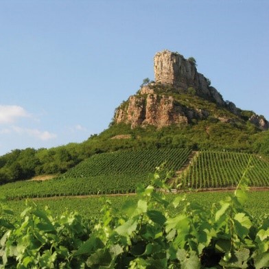 The Rock of Solutré rising above the Mâconnais vineyards in Burgundy