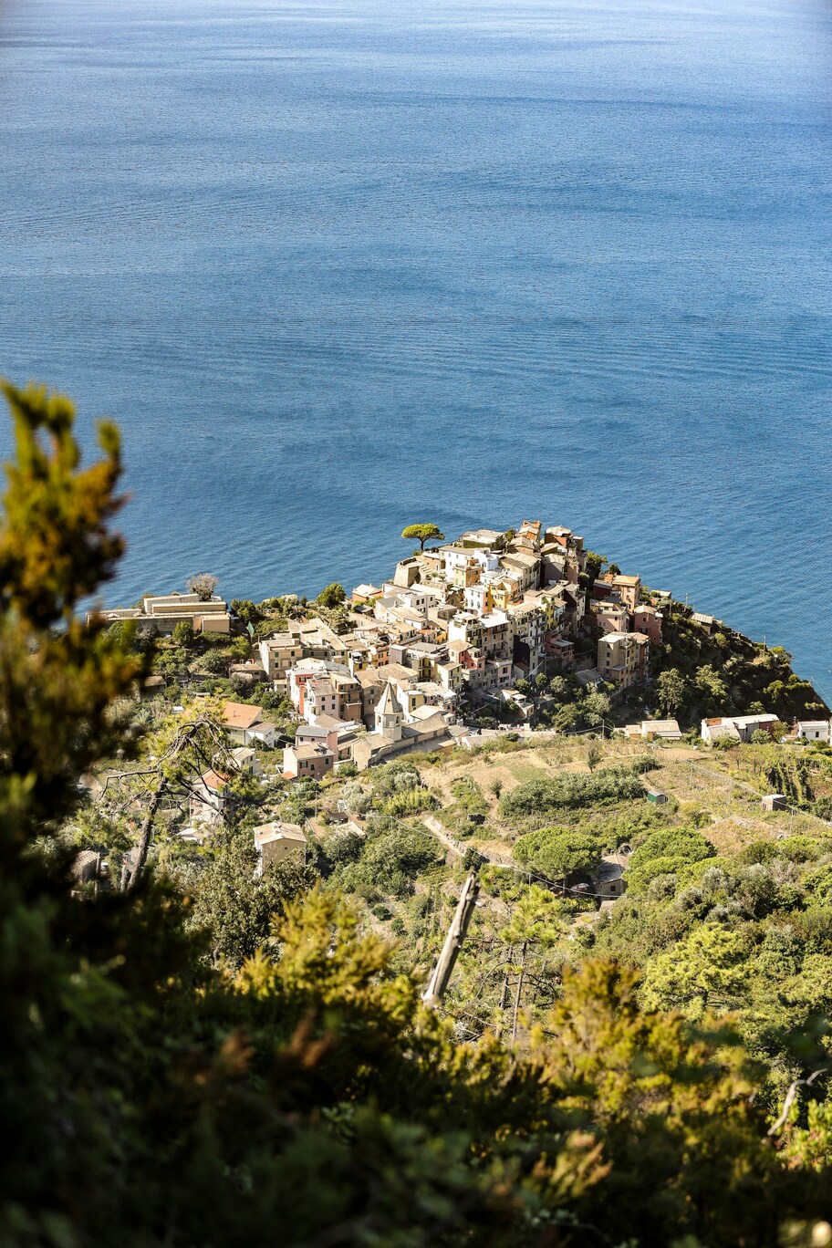 View of Corniglia