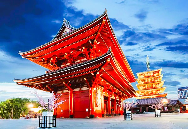 Senso-ji temple in Tokyo illuminated at dusk with cherry blossoms