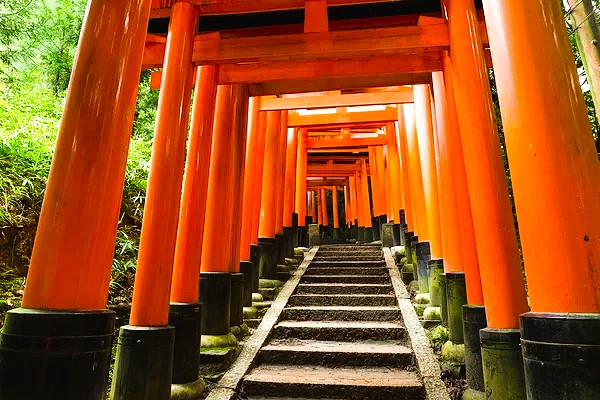 Torii gates at Fushimi Inari Shrine